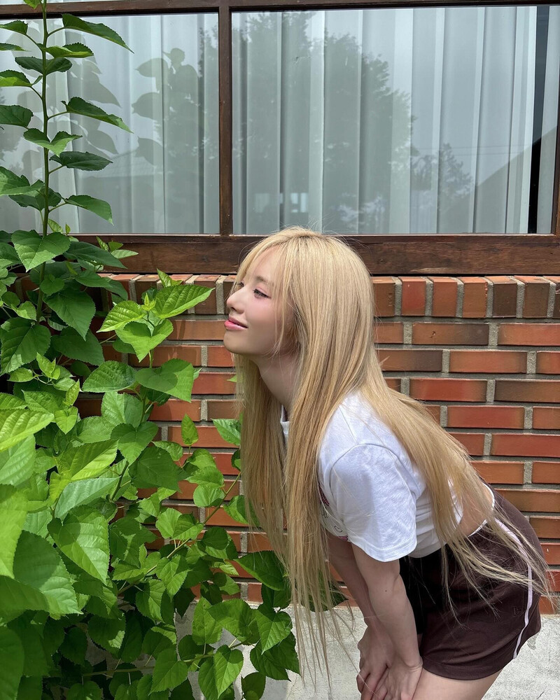 240810 fromis_9 Jiwon Instagram Update documents 2