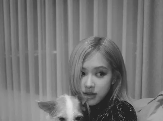 BLACKPINK Rosé Adopts New Puppy — And He's Already an Instagram Star