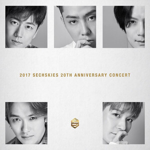 SECHSKIES 20 Anniversary Concert Concept Poster