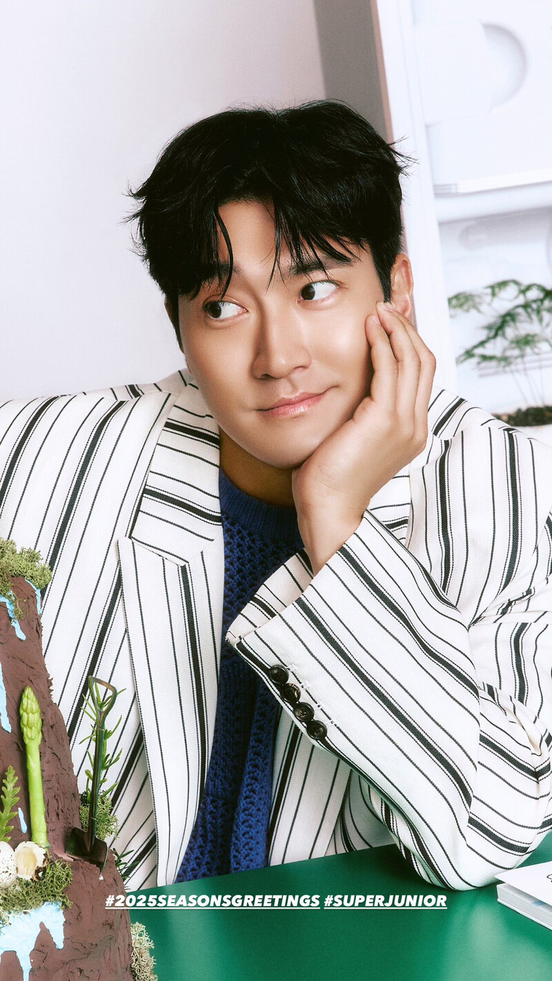 Super Junior 2025 Season's greetings teaser photos documents 7