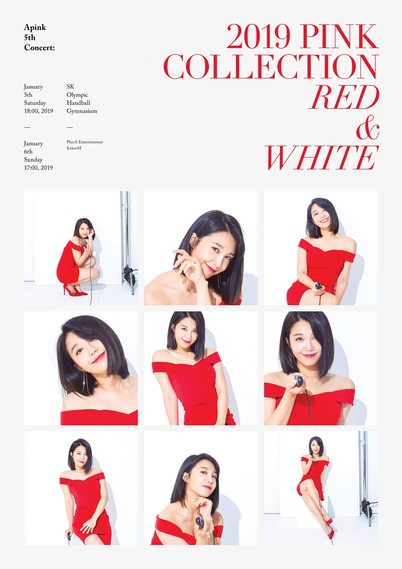 APINK 5th Concert - 2019 PINK COLLECTION : RED & WHITE - Posters & Behind documents 4