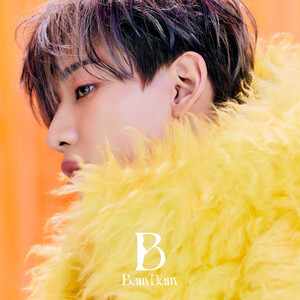 BAMBAM 'B' Concept Teasers