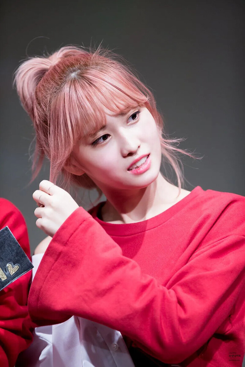 Momo811.jpg