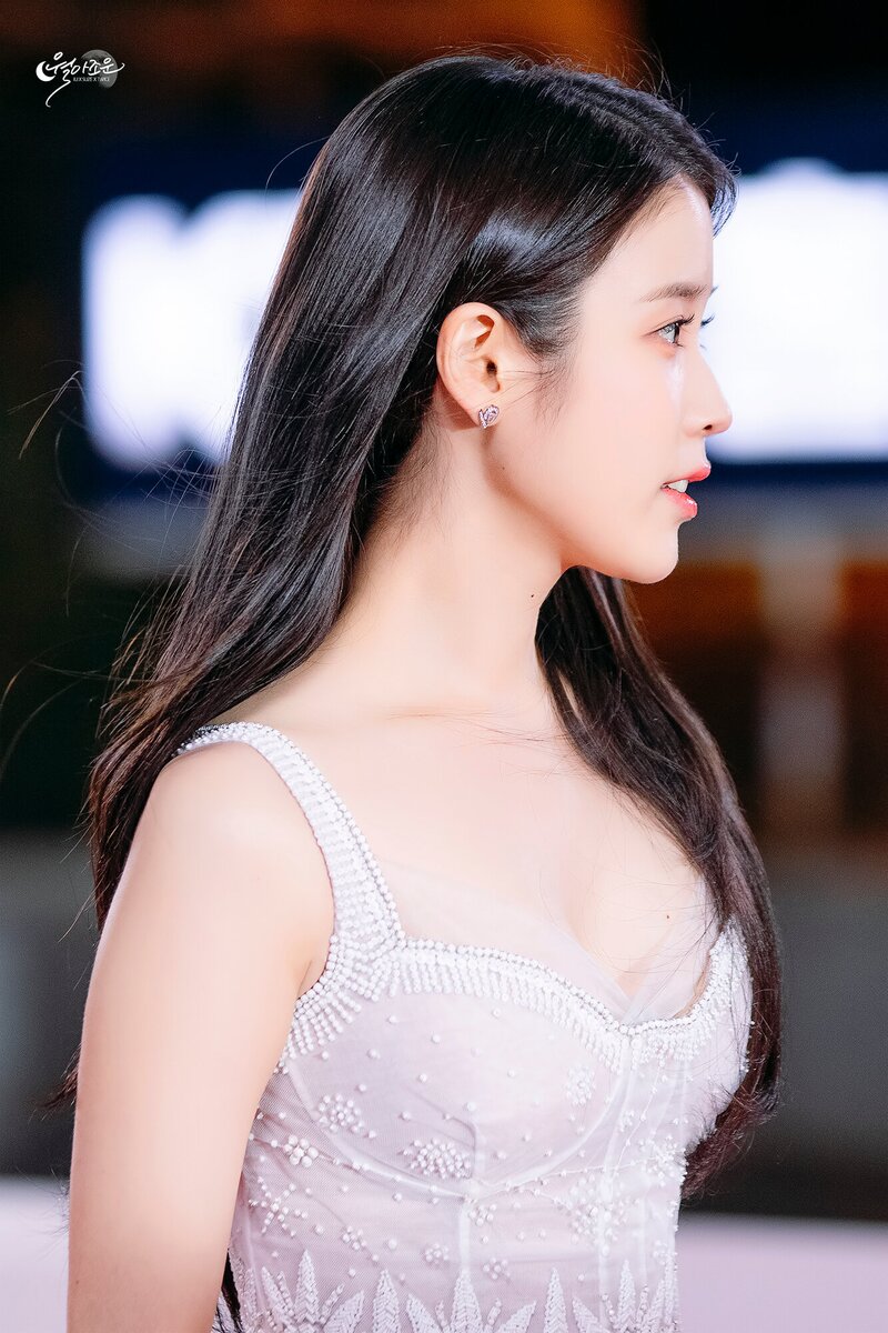 221125 IU at 43rd Blue Dragon Film Awards Red Carpet documents 3