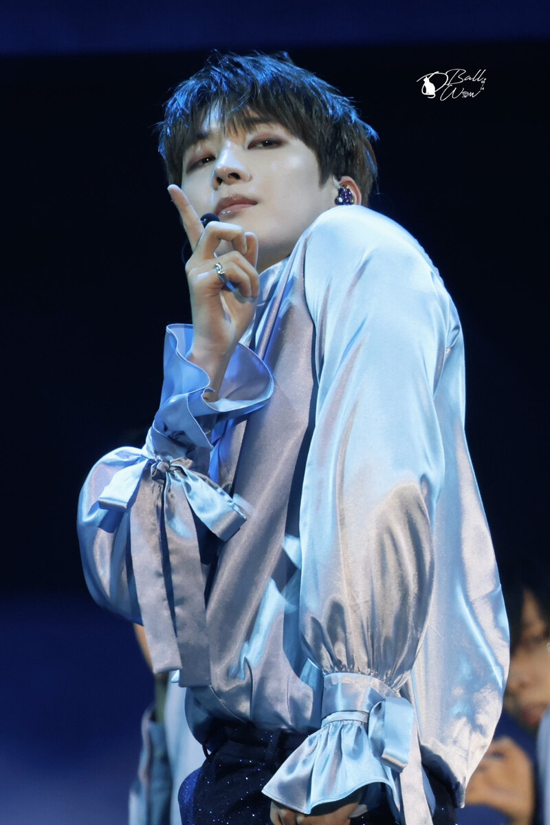 240723 SEVENTEEN Wonwoo - CARATLAND 2024 Day 1 documents 12