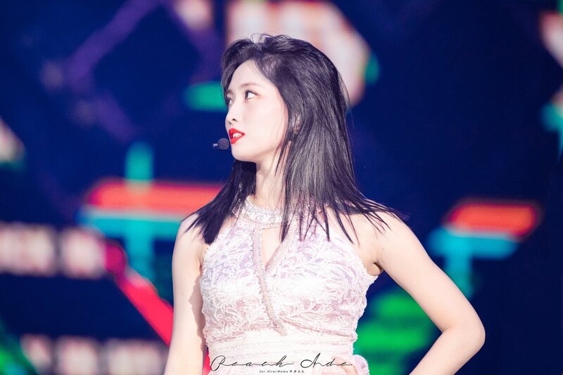 200104 TWICE Momo - 34th Golden Disc Awards Day 1 documents 2