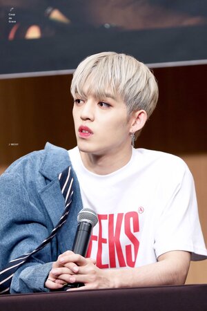 171117 SEVENTEEN at Yeongdeungpo Fansign - S.Coups