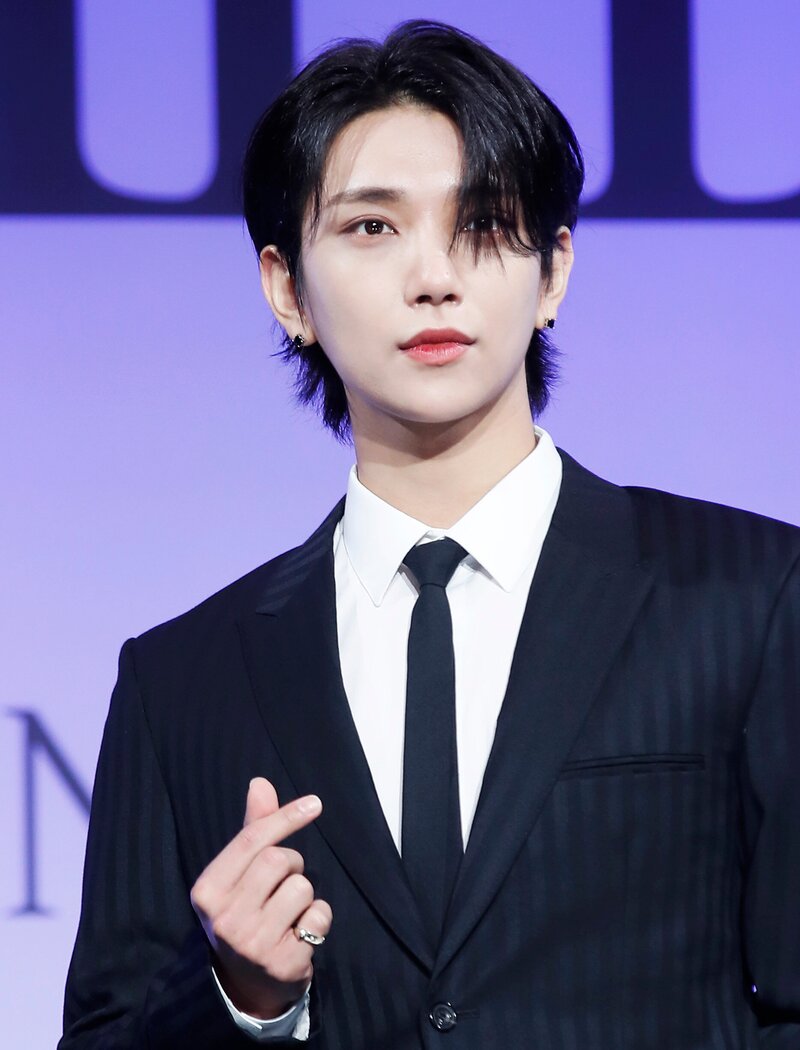 220527 SEVENTEEN Joshua 'Face the Sun' Global Press Conference documents 1