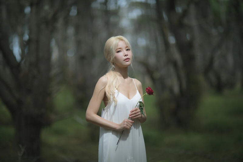 MAMAMOO "Yellow Flower" Concept Photos documents 14