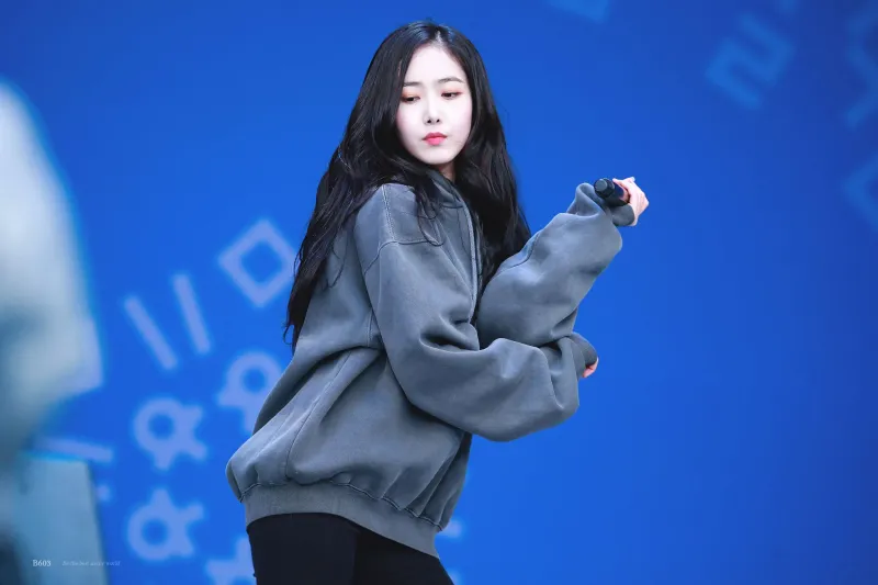 Sinb551.jpg