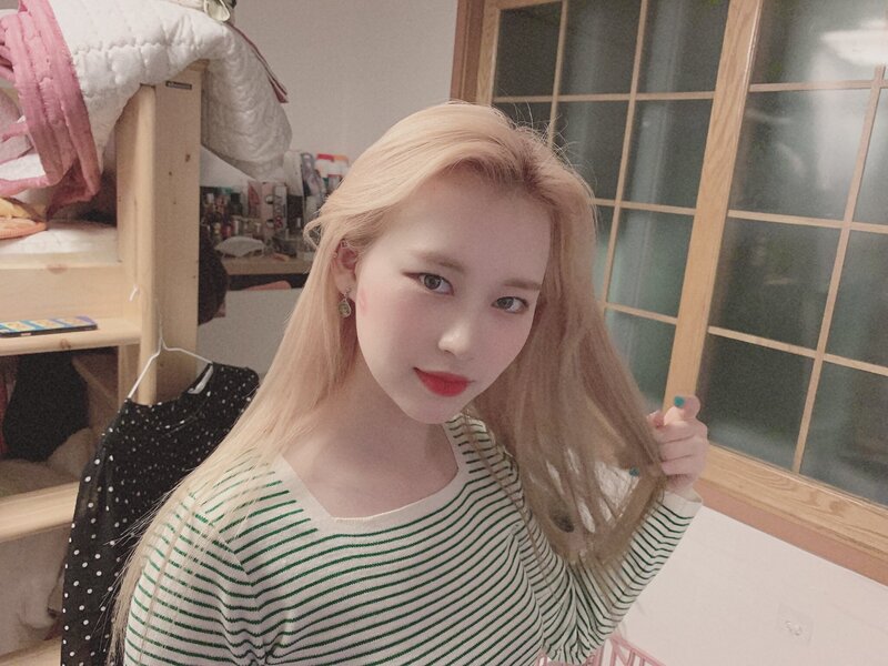 190719 Lucy Twitter updates documents 5