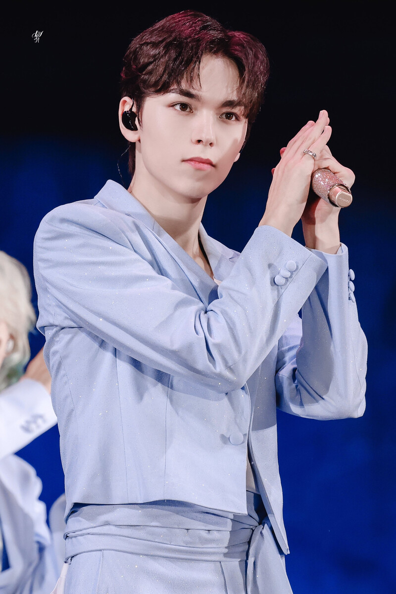 240724 SEVENTEEN Vernon - CARATLAND 2024 Day 2 documents 2