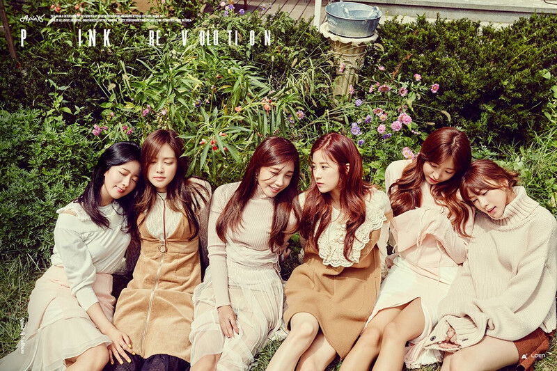 APINK 3rd Album "Pink Revolution" Concept Teaser pictures documents 2