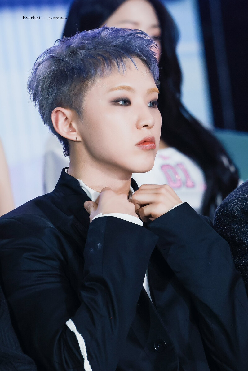 250105 SEVENTEEN Hoshi at Golden Disc Awards 2025 documents 5