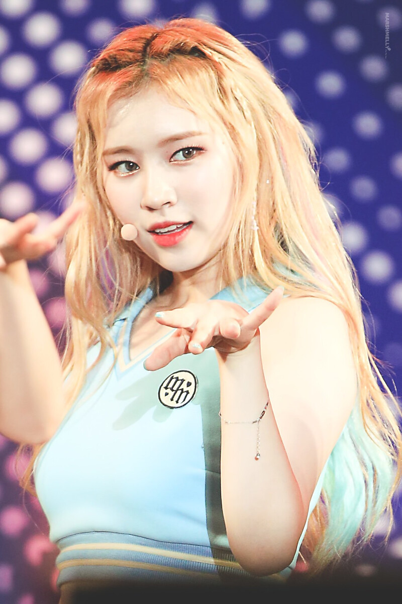 190727 Weki Meki Elly at Yeongdeok Summer & Music Festival documents 3