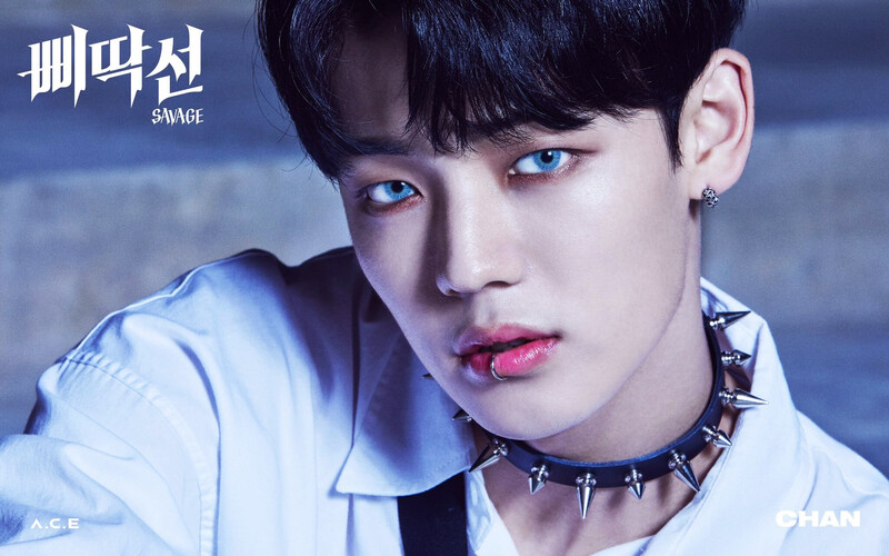 A.C.E 'Savage' concept photos documents 16