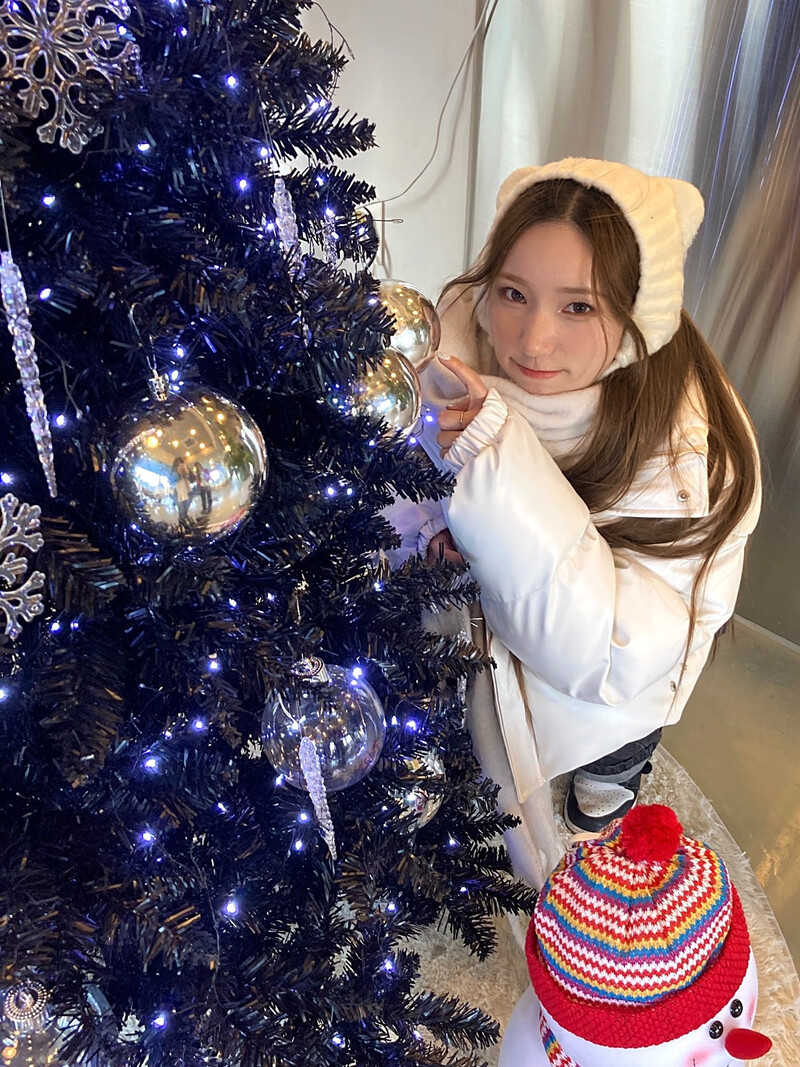 241211 - Geenius Members Twitter Update with SION documents 1