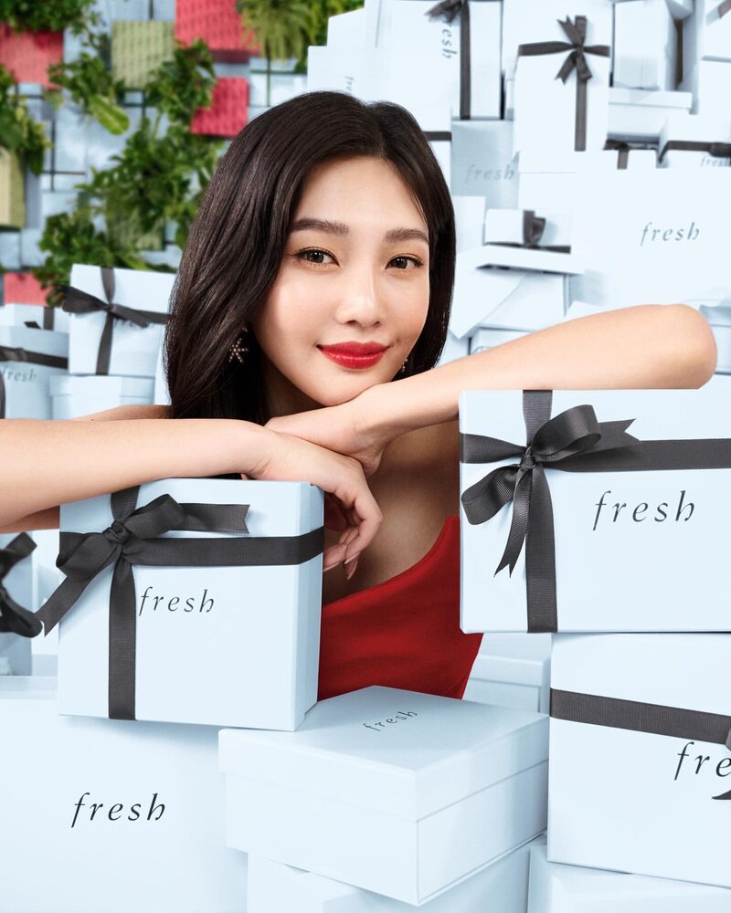 Red Velvet Joy for Fresh Beauty - Holiday Campaign documents 2