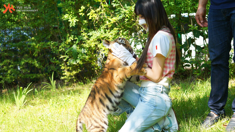 210901 Yuehua Naver Post - Yena Animal Detective Behind documents 15