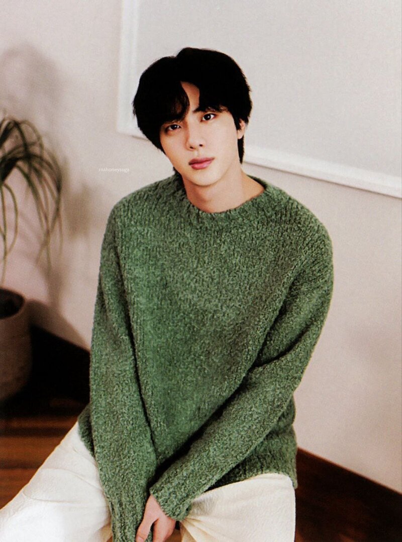 BTS [Jin] Global Official Fanclub 9th ARMY ZIP (SCANS) documents 5