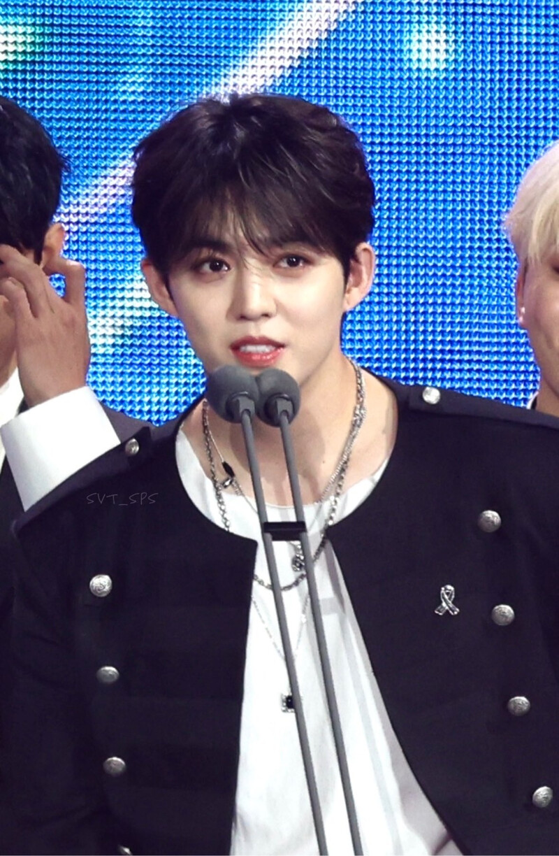 250105 SEVENTEEN S.Coups at Golden Disk Awards 2025 documents 1