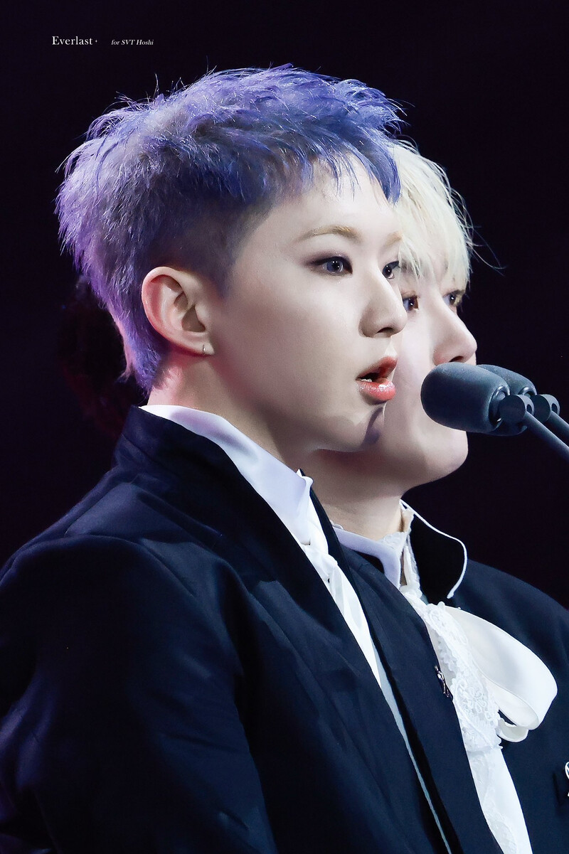 250105 SEVENTEEN Hoshi at Golden Disk Awards 2025 documents 2