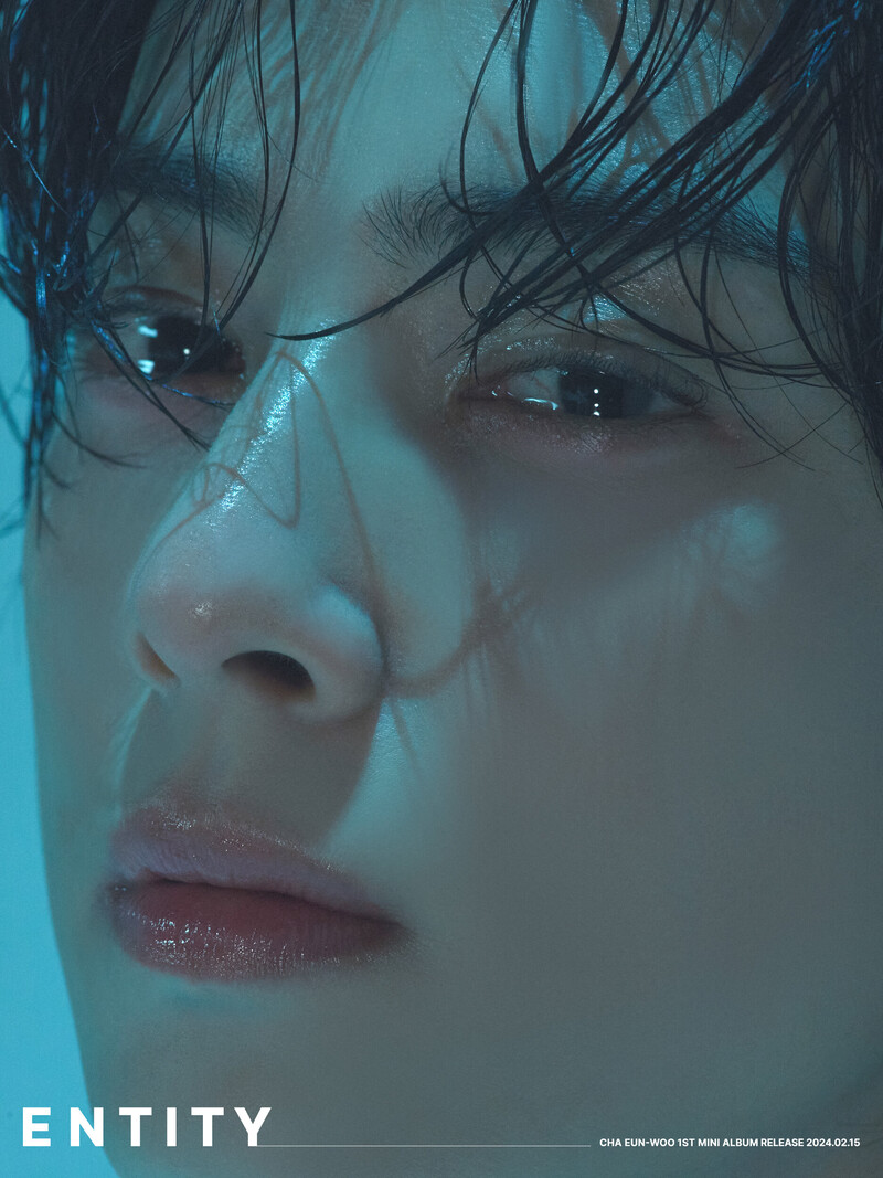 Cha Eunwoo "Entity" Concept Photos documents 2