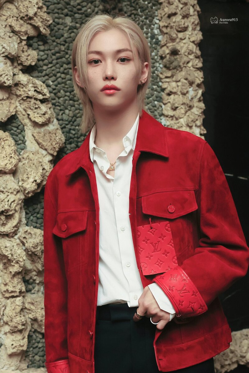 230524 Stray Kids' Felix at the Louis Vuitton Cruise 2024 show documents 1