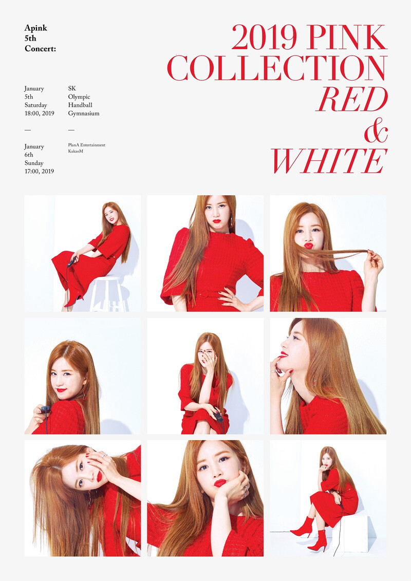 APINK 5th Concert - 2019 PINK COLLECTION : RED & WHITE - Posters & Behind documents 2