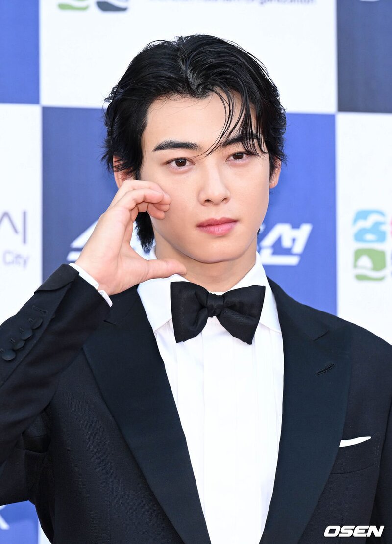 230719 Cha Eunwoo at the 2nd Blue Dragon Series Awards Red Carpet documents 6