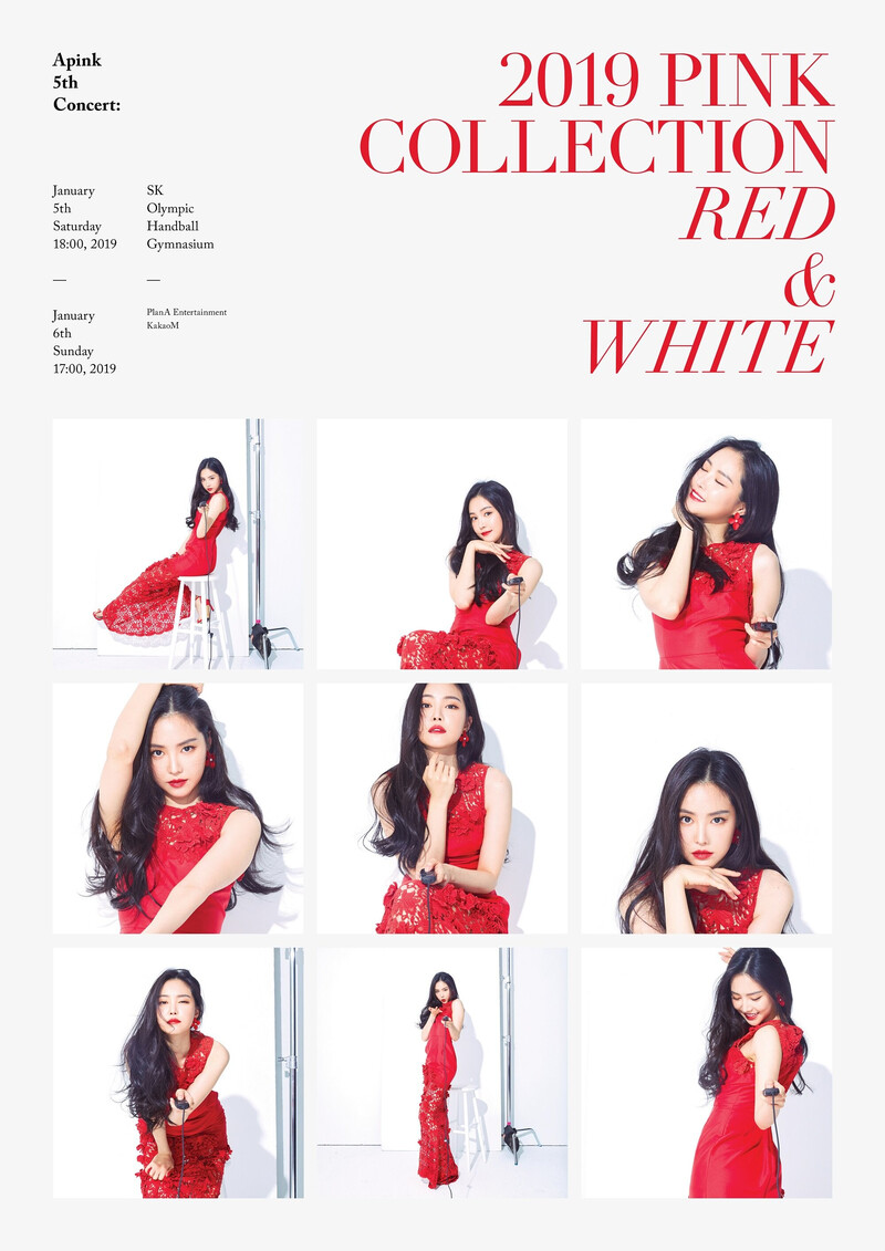 APINK 5th Concert - 2019 PINK COLLECTION : RED & WHITE - Posters & Behind documents 5