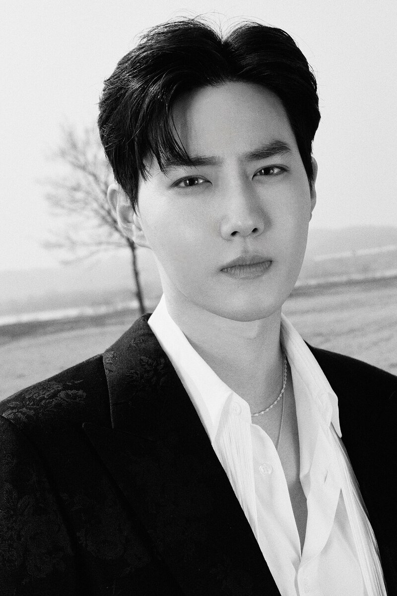 SUHO 'GREY SUIT' Concept Teasers documents 3