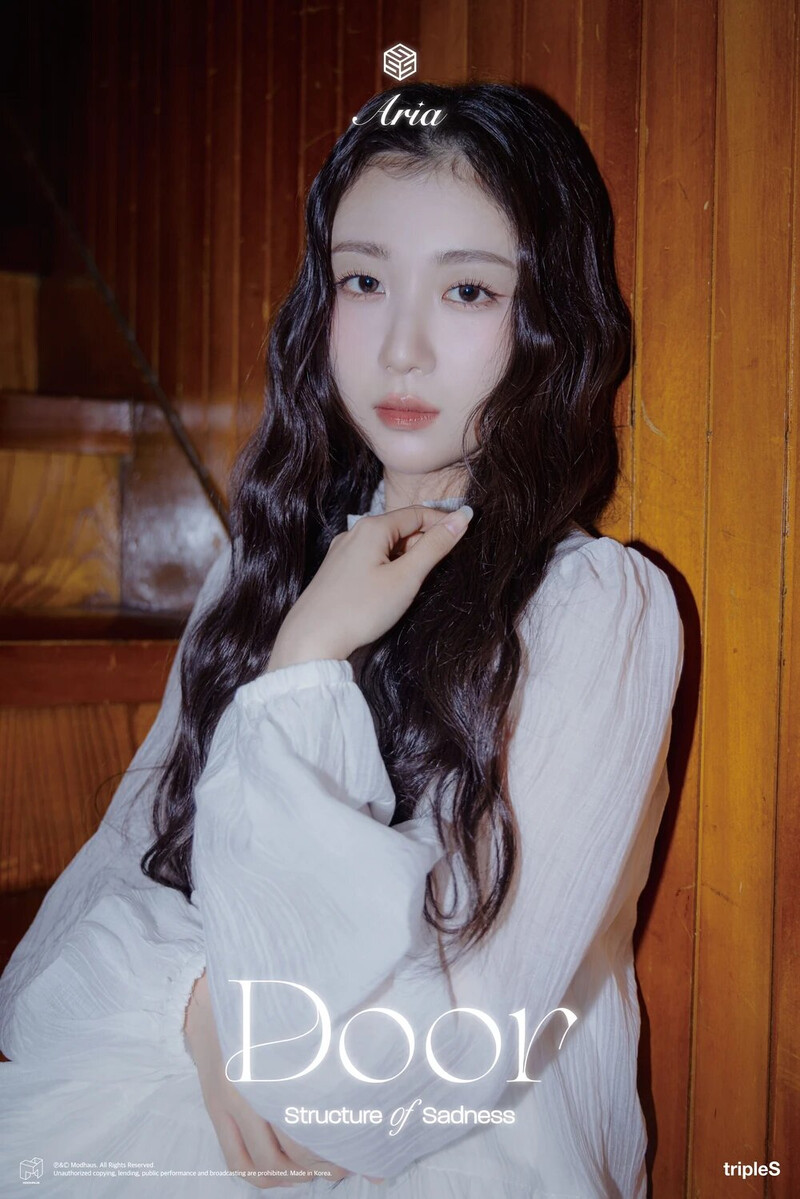 Aria 'Door' Concept Teaser Images documents 3