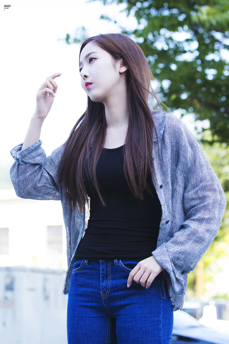 Sinb136.jpg