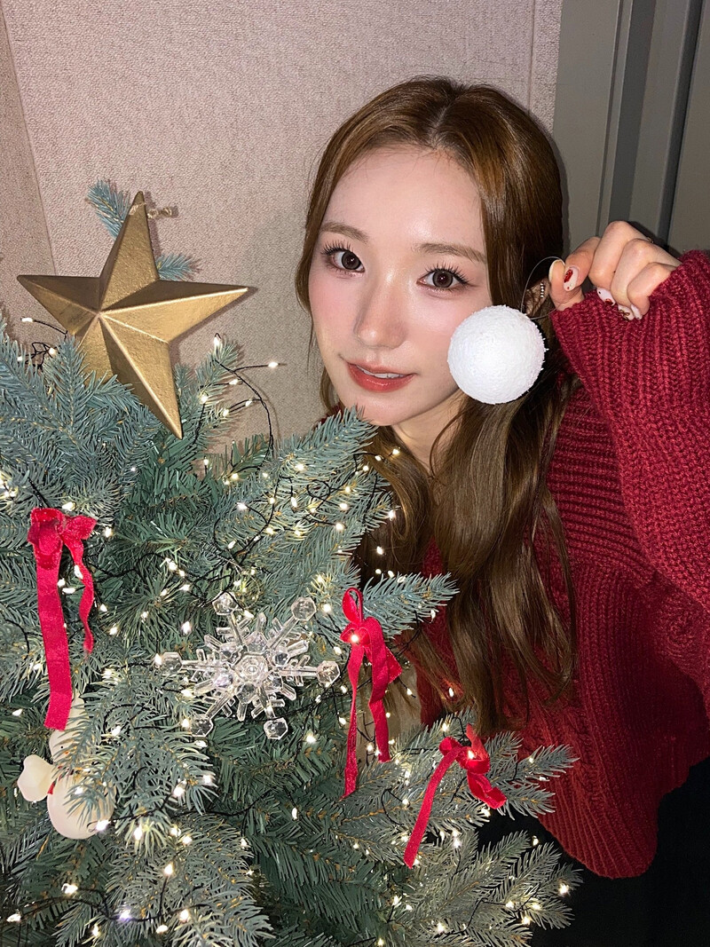 241225 - Geenius Members Twitter Update with SION documents 8