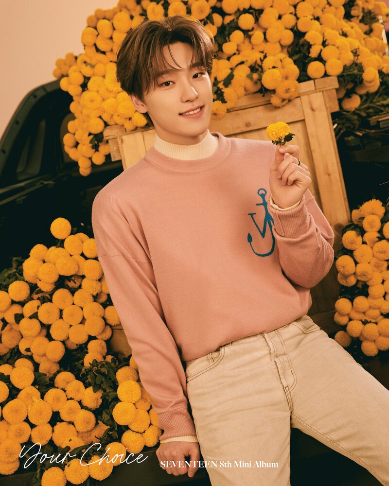 SEVENTEEN 8th Mini Album 'Your Choice' Official Photo documents 4