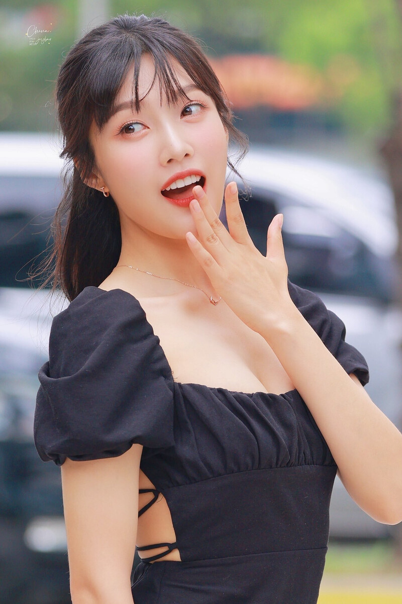 220706 Red Velvet Joy - 'Animal Farm' Commute documents 5