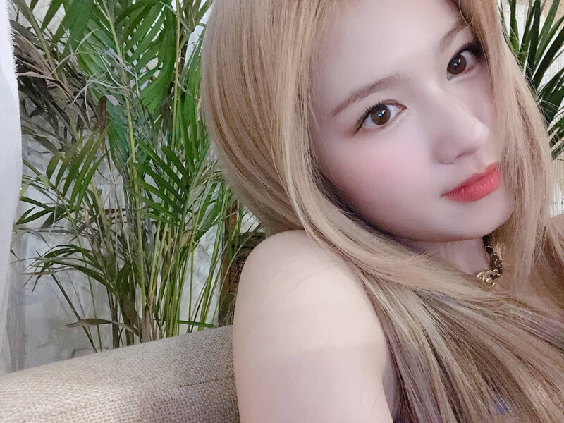 210608 TWICE Instagram Update - Sana documents 2