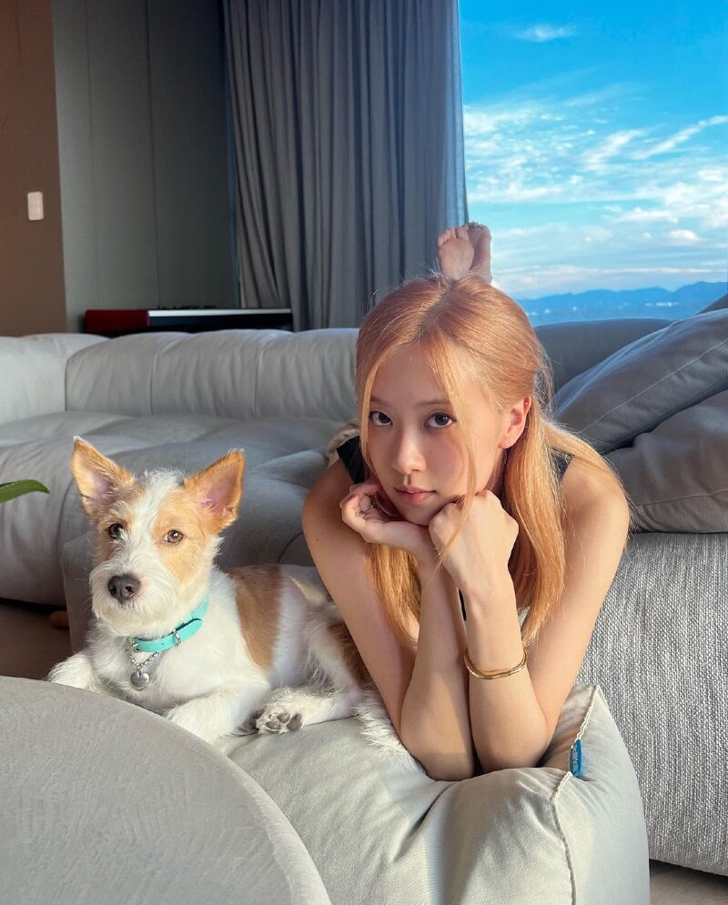 BLACKPINK Rosé's Chuseok Greetings With Rescue Dog Hank Melts Hearts!