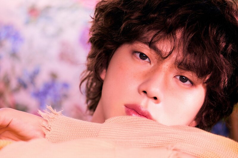 JIN 'THE ASTRONAUT' Concept Teasers documents 6