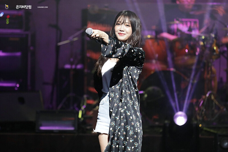 170605 Apink EUNJI's 1st Solo concert 'The Attic' Day 3 documents 4