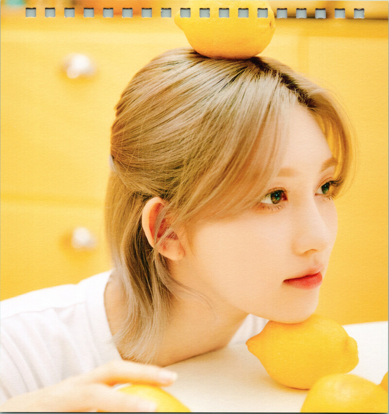 IVE 2023 Season's Greetings (Scans) documents 6