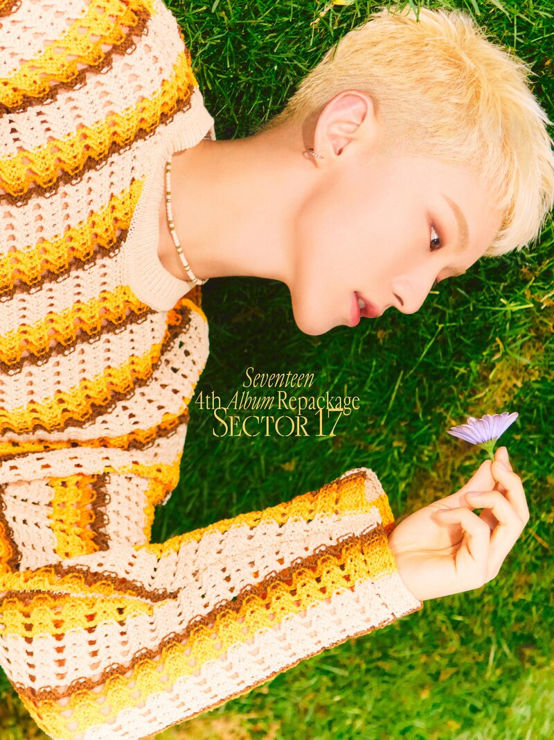 SEVENTEEN 4th Album Repackage ‘SECTOR 17’ Official Photo documents 5