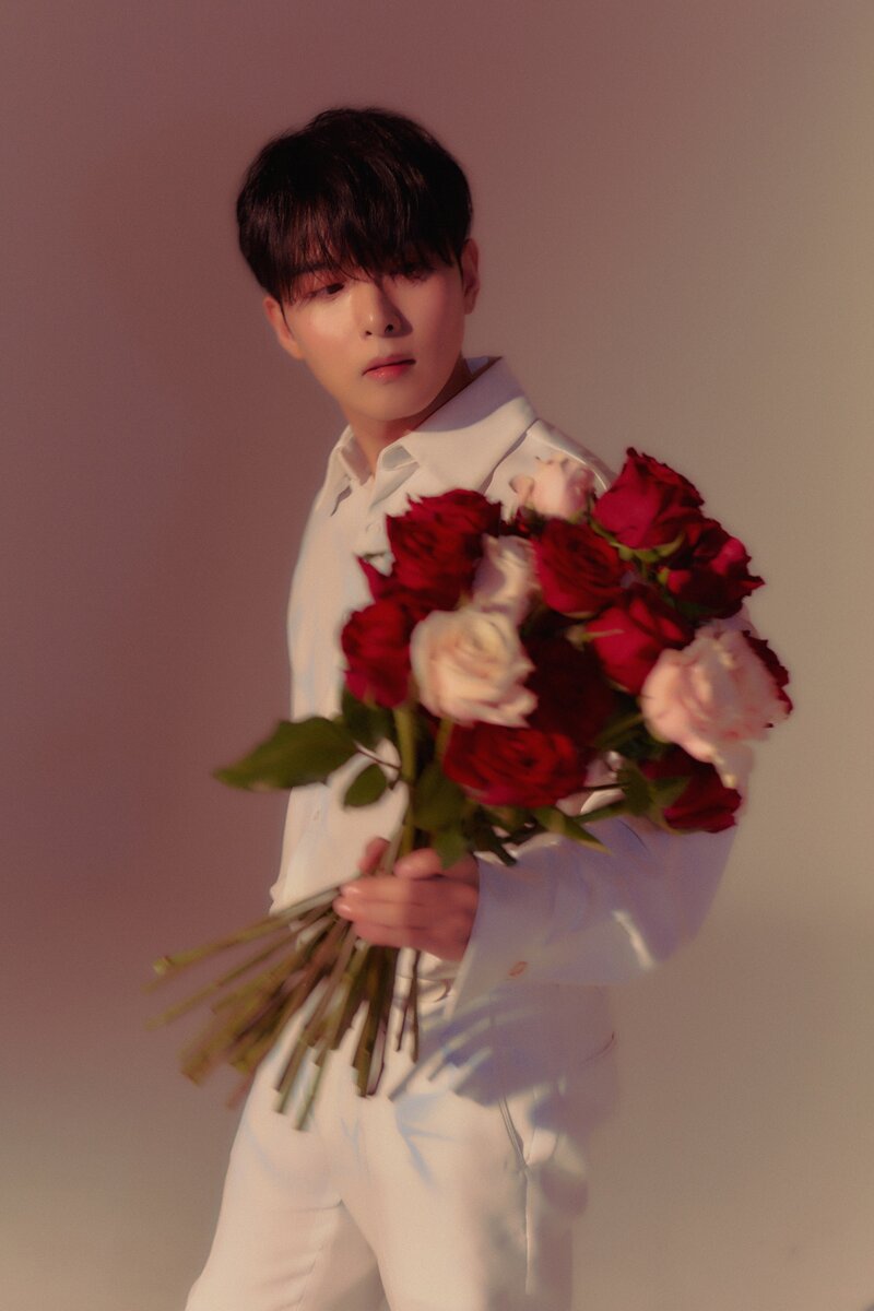 Ryeowook - 'A Wild Rose' Concept Teaser Images documents 15