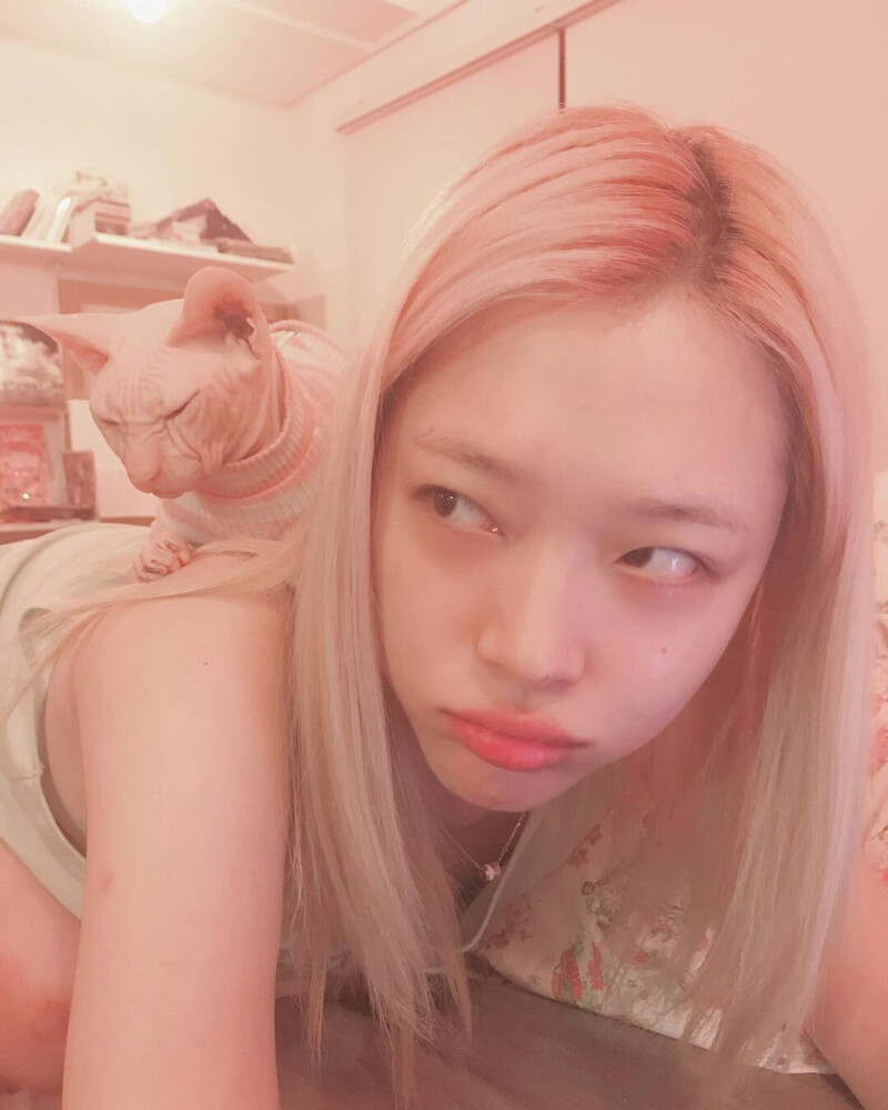 190725 Sulli Instagram Update documents 2