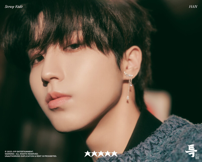 Stray Kids The 3rd Studio Album ‘5-STAR’ Concept Teasers documents 7