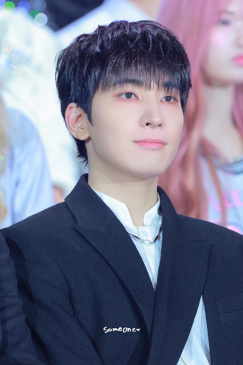 250105 SEVENTEEN Wonwoo at Golden Disc Awards 2025 documents 8