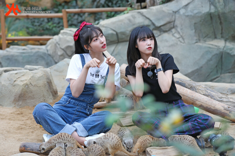 211028 Yuehua Naver Post - Yena & Sihyeon - Animal Detective Behind documents 8