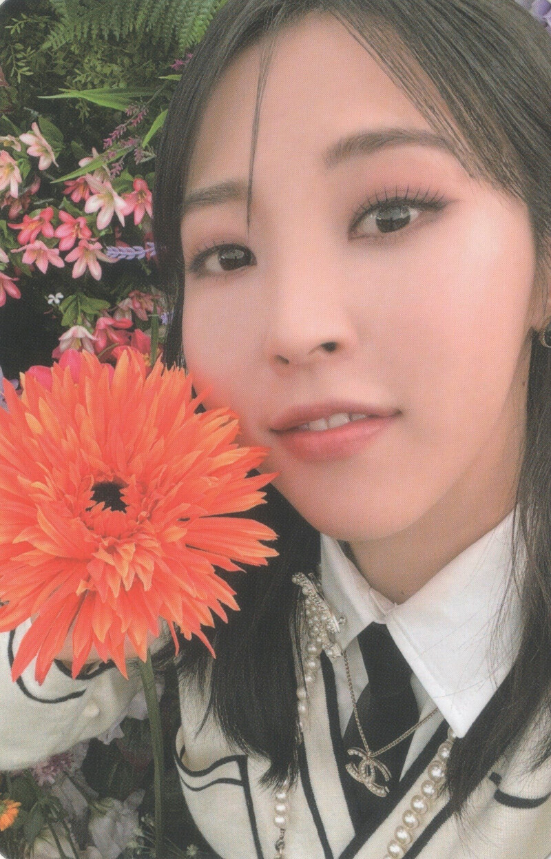 MAMAMOO+ "TWO RABBITS" Photocards [SCANS] documents 1