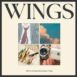 Chapter 2. Wings